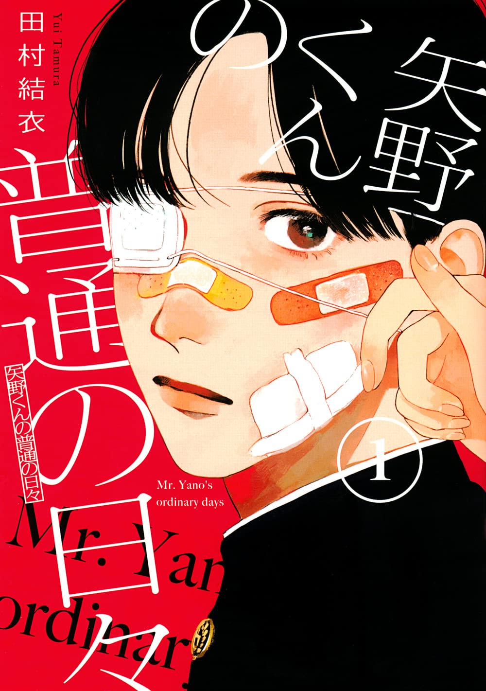矢野くんの普通の日々 原作