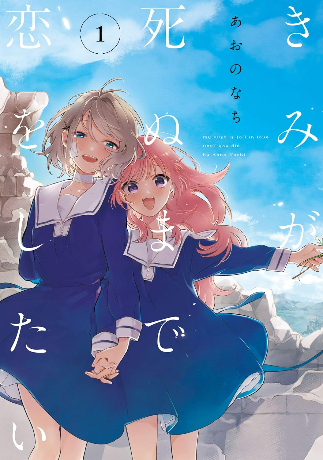 きみが死ぬまで恋をしたい 原作