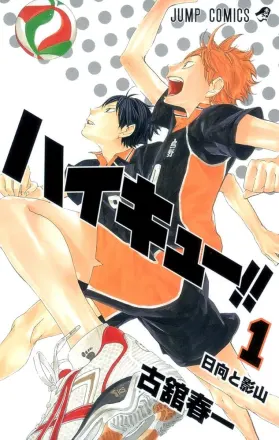 ハイキュー!! ゴミ捨て場の決戦 原作