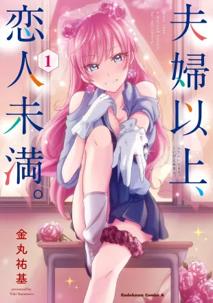 夫婦以上、恋人未満。 原作