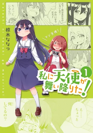 私に天使が舞い降りた！ 原作