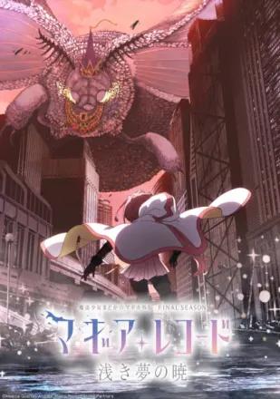 マギアレコード 魔法少女まどか☆マギカ外伝 Final SEASON ‐浅き夢の暁‐
