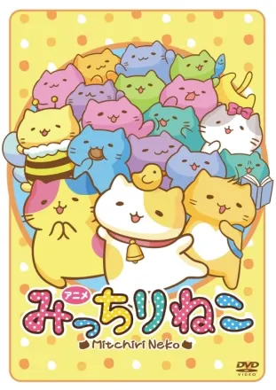 みっちりねこ
