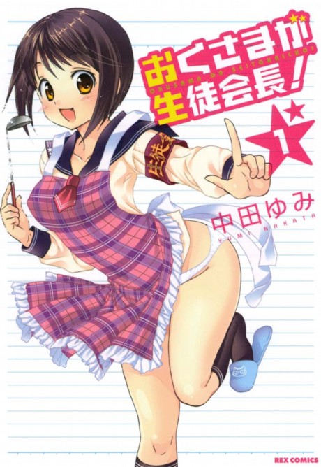 おくさまが生徒会長! 原作