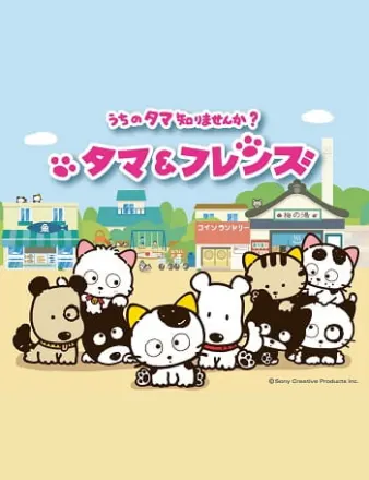 タマ＆フレンズ～うちのタマ知りませんか～