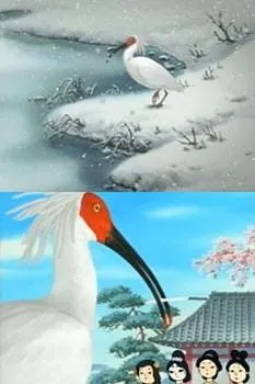 トキ この地球（ほし）の未来を見つめて