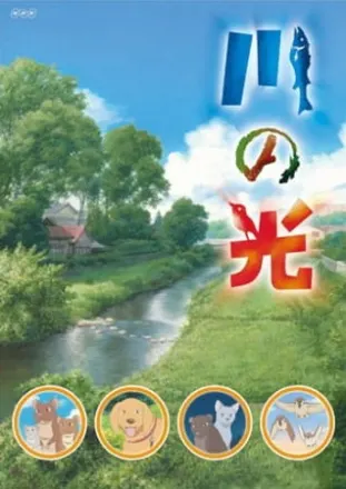 川の光